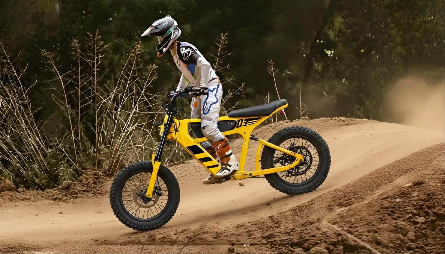 Complete Guide to Electric Bike Maintenance: Make Your Bike More Durable