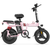 ECLIO M1 Folding Electric Bike | DDC M1