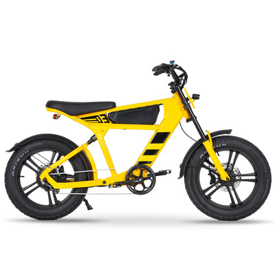 ECLIO FT-03 Electric Bike for Adults, 20" Fat Tire All-Terrain Electric Dirt Bike, 48V 18.2AH Removable Battery, Aluminum Alloy Frame Ebike