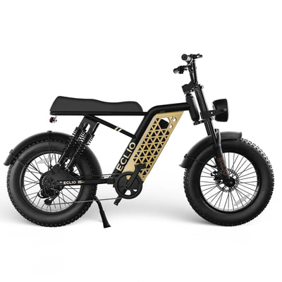ECLIO F01 Electric Bike for Adults 750W Peak Motor 20MPH Electric Dirt Bike with 48V 13Ah Battery 55-75 Miles, 20" Fat Tire Electric Motorcycle Commuting Off Road Ebike with 6-Layer Shock Absorption & Brakes