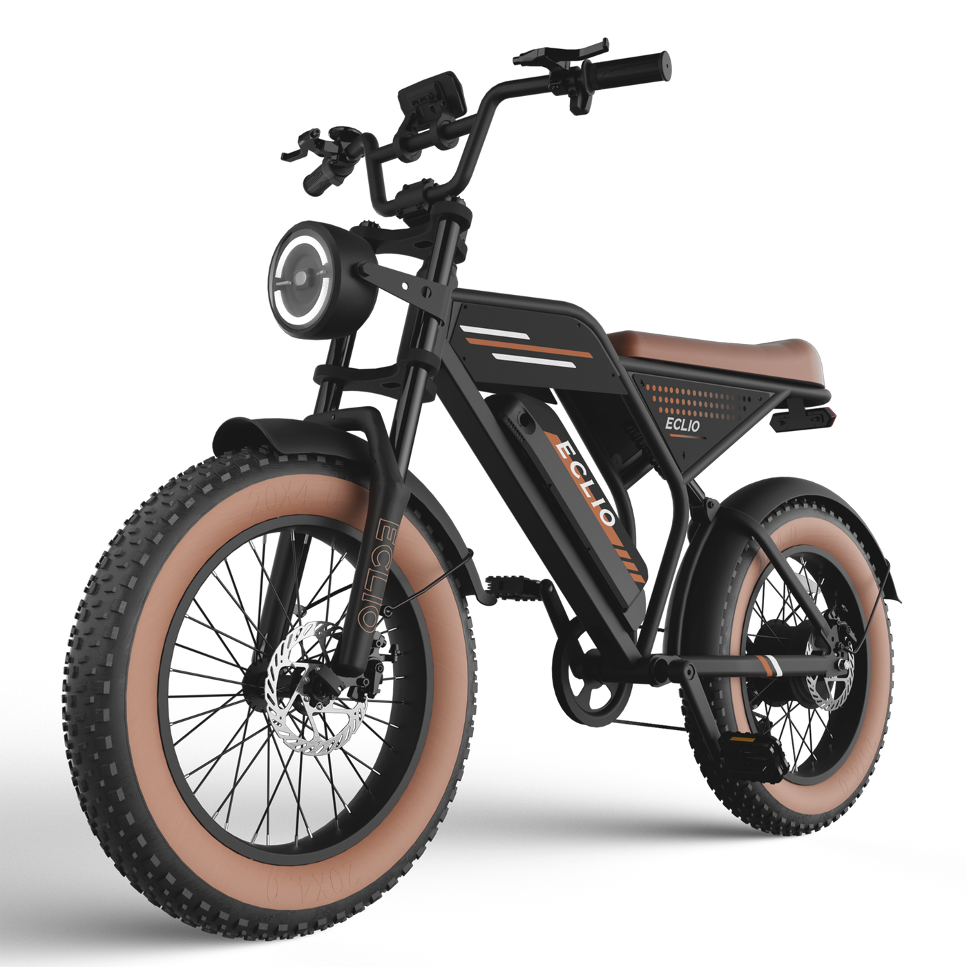 ECLIO F02 500W Powerful Motor Electric Bike for Adults, 20" Fat Tire All-Terrain Electric Dirt Bike With 48V 13AH Removable Battery