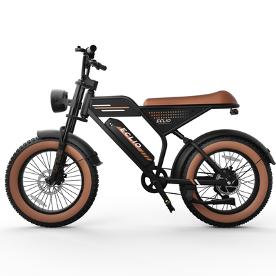 ECLIO F02 500W Powerful Motor Electric Bike for Adults, 20" Fat Tire All-Terrain Electric Dirt Bike With 48V 13AH Removable Battery