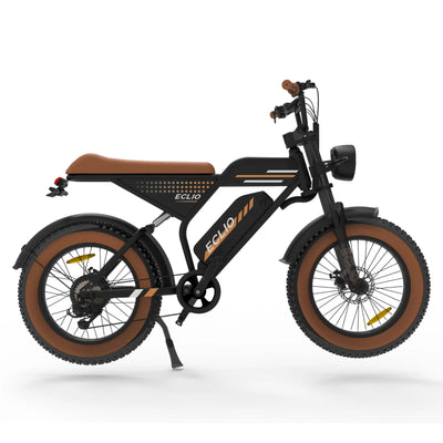 ECLIO F02 500W Powerful Motor Electric Bike for Adults, 20" Fat Tire All-Terrain Electric Dirt Bike With 48V 13AH Removable Battery