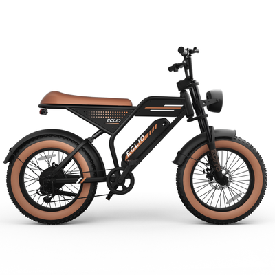 ECLIO F02 500W Powerful Motor Electric Bike for Adults, 20" Fat Tire All-Terrain Electric Dirt Bike With 48V 13AH Removable Battery