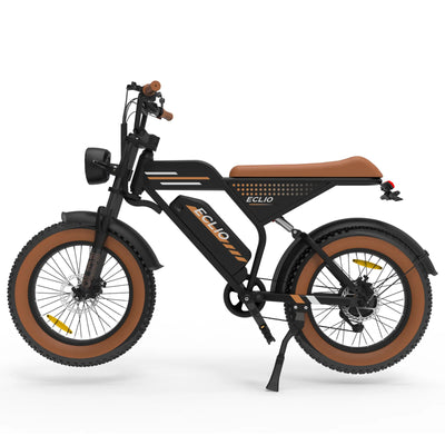 ECLIO F02 500W Powerful Motor Electric Bike for Adults, 20" Fat Tire All-Terrain Electric Dirt Bike With 48V 13AH Removable Battery