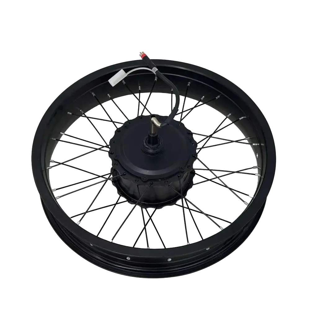 Rear Hub Motor for F Series